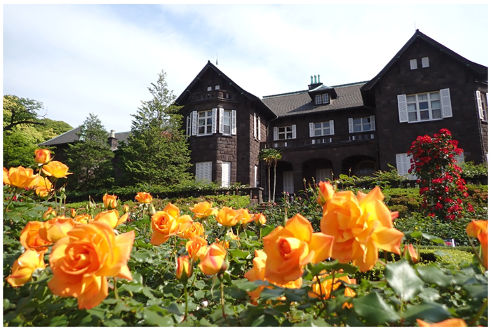 西式别墅与盛开的玫瑰（去年的景象）