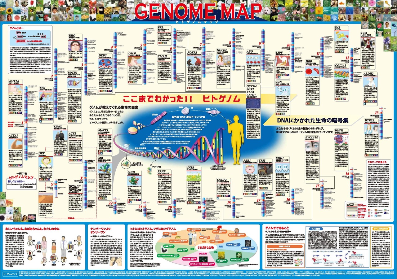 “每家一张 人类基因组图谱”