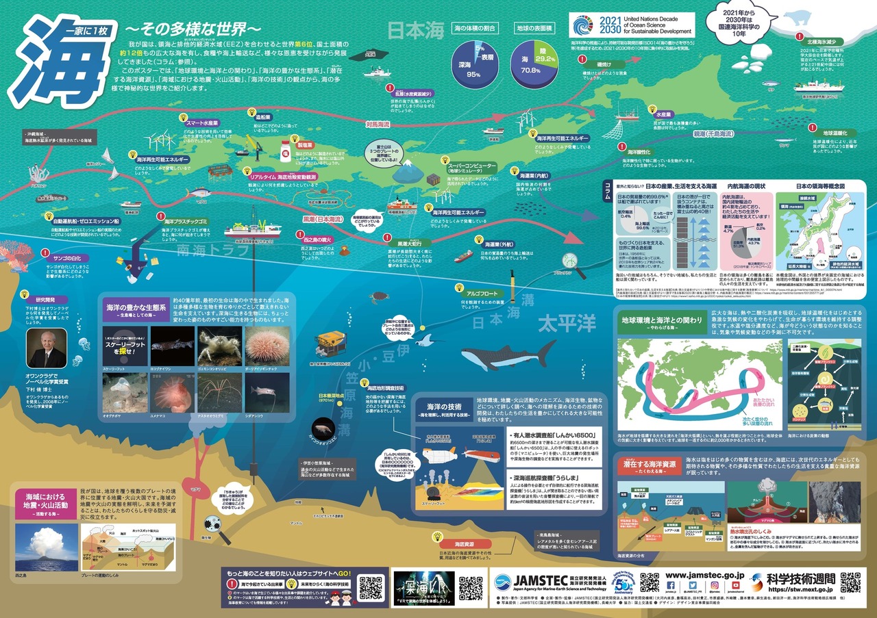 “每家一张 海”