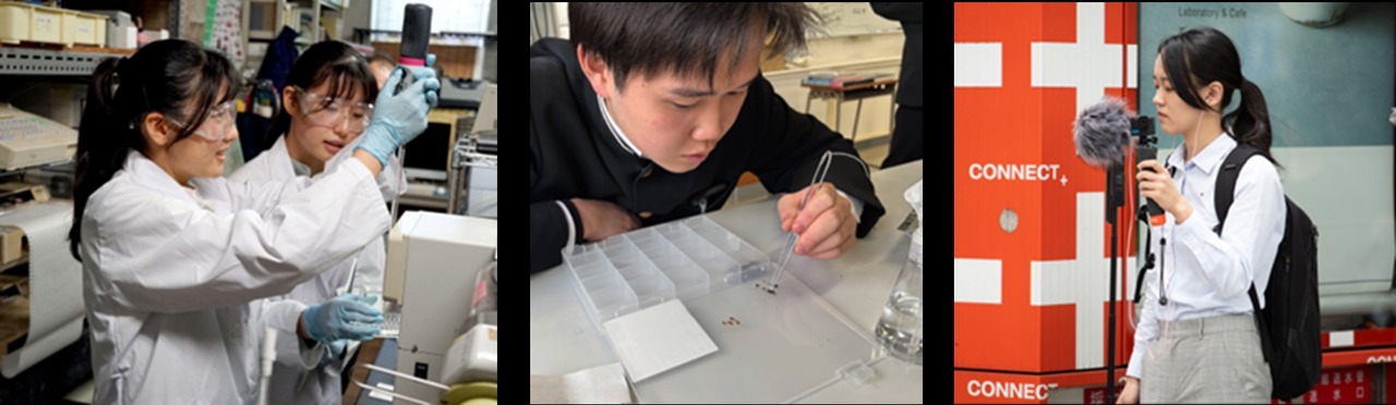 参与者们各自追寻着对时尚、美食、音乐、设计、海带、昆虫、酵素等领域的热爱