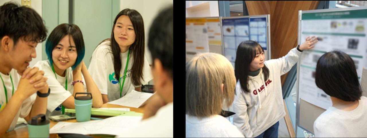 在参与各项活动的同时，也参加研讨会等环节，从而深化各自的想法