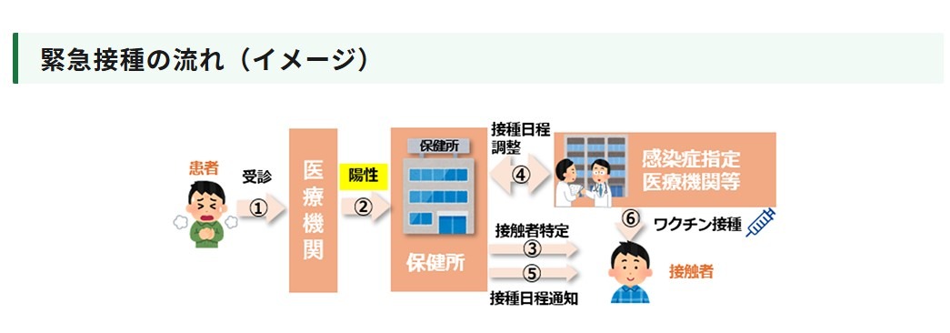 紧急接种流程（示意图）