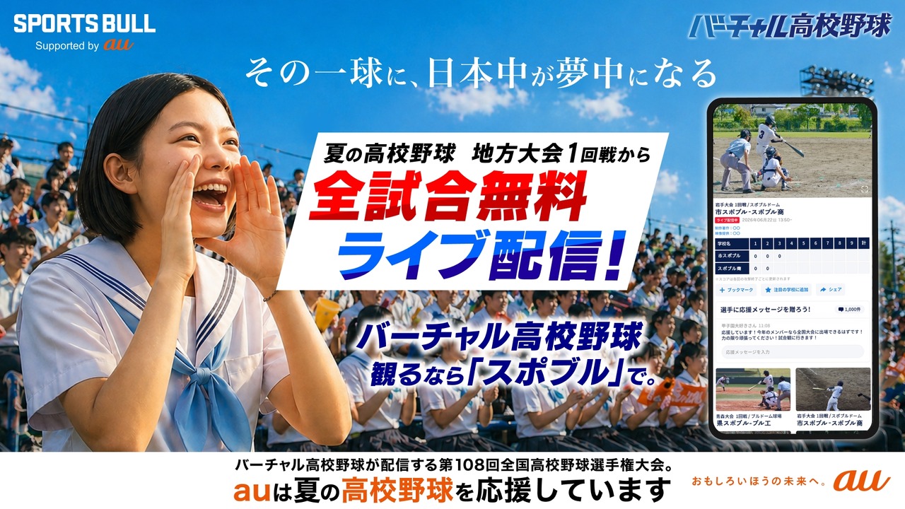 虚拟高中棒球