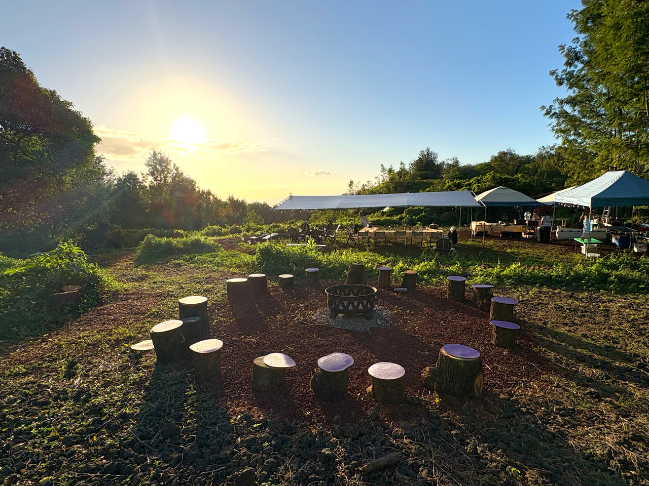 SOSHI 阿罗哈露营地