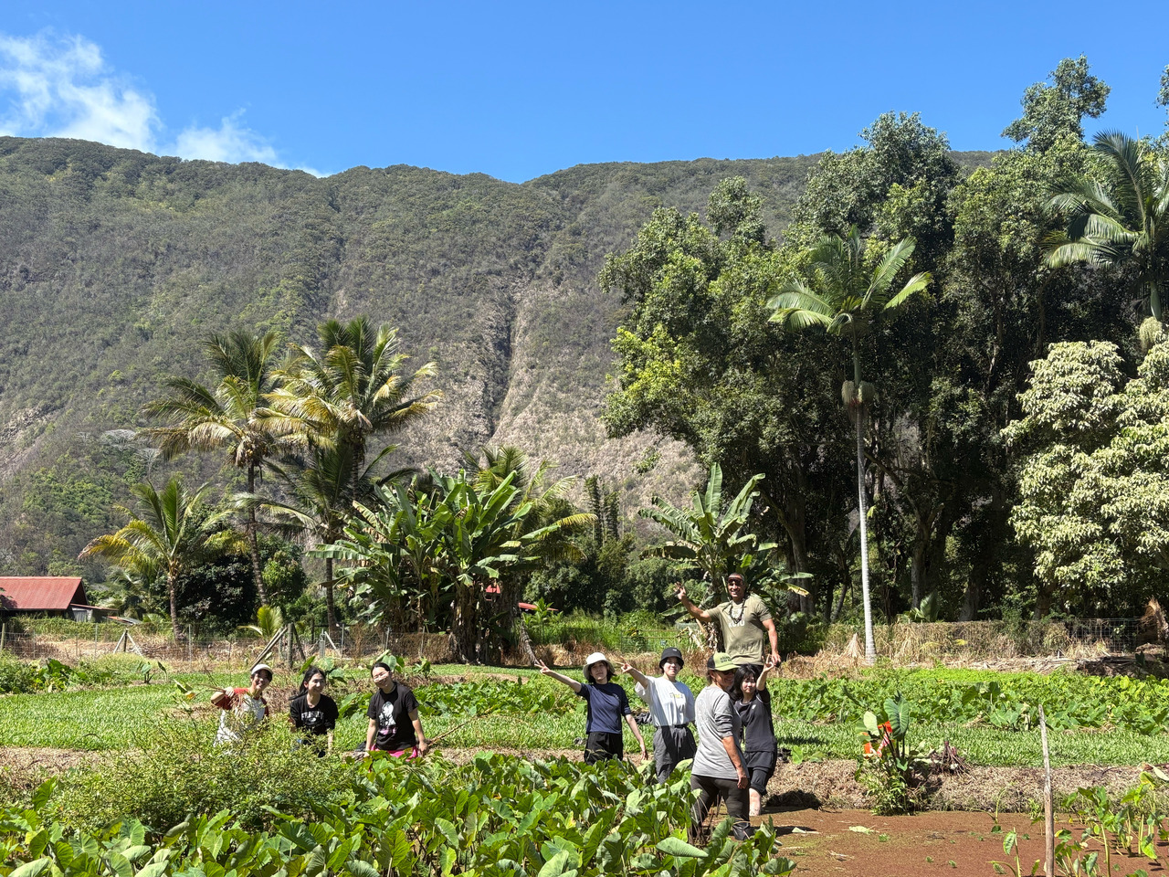 SOSHI 阿罗哈露营地
