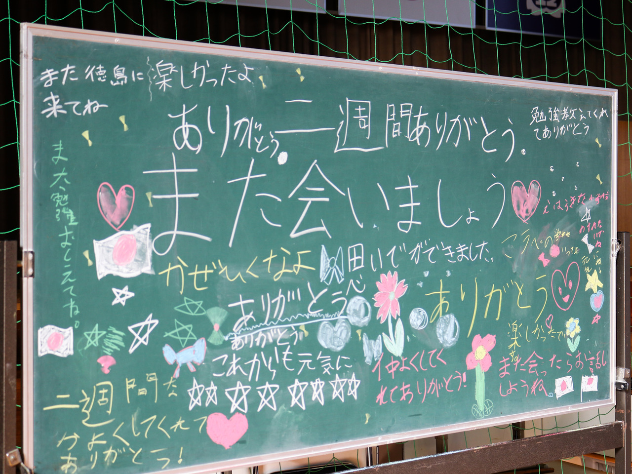两周内结识新朋友