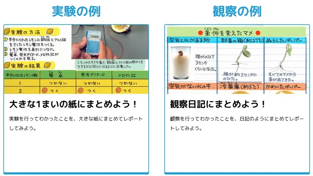 总结的技巧（实验示例、观察示例）