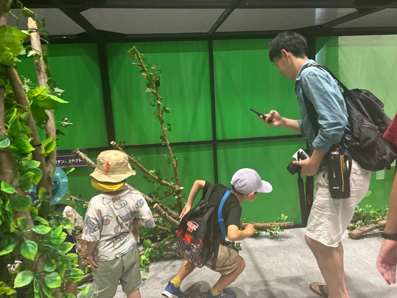 昆虫博览会帐篷内的场景