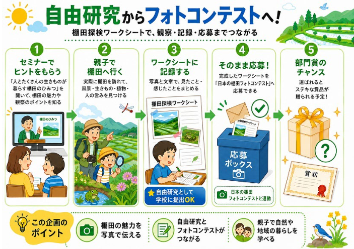 从自由研究到摄影比赛！