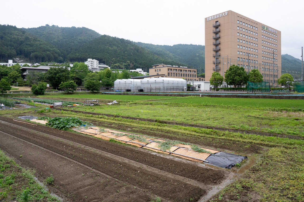 京都尖端科学大学 京都龟冈校区的景象
