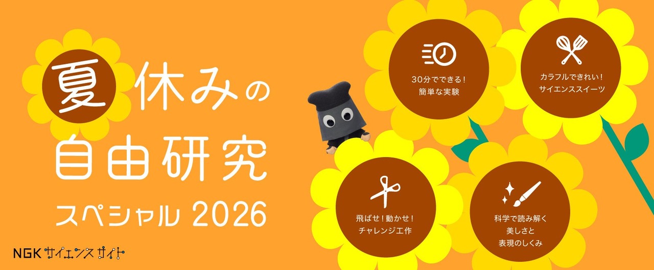 2026年暑假自由研究特辑