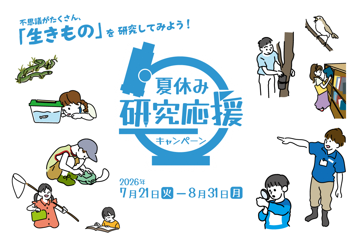 足立区生物园“暑假研究支持活动”