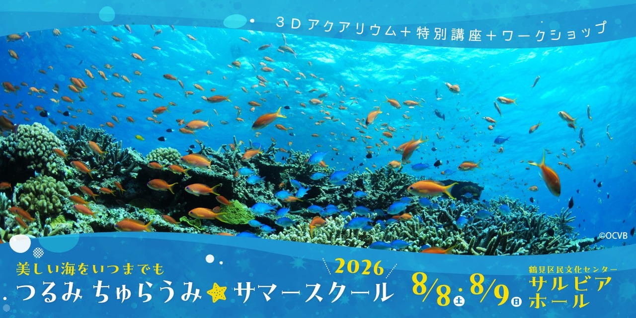 鹤见·楚拉乌米 2026年暑期学校