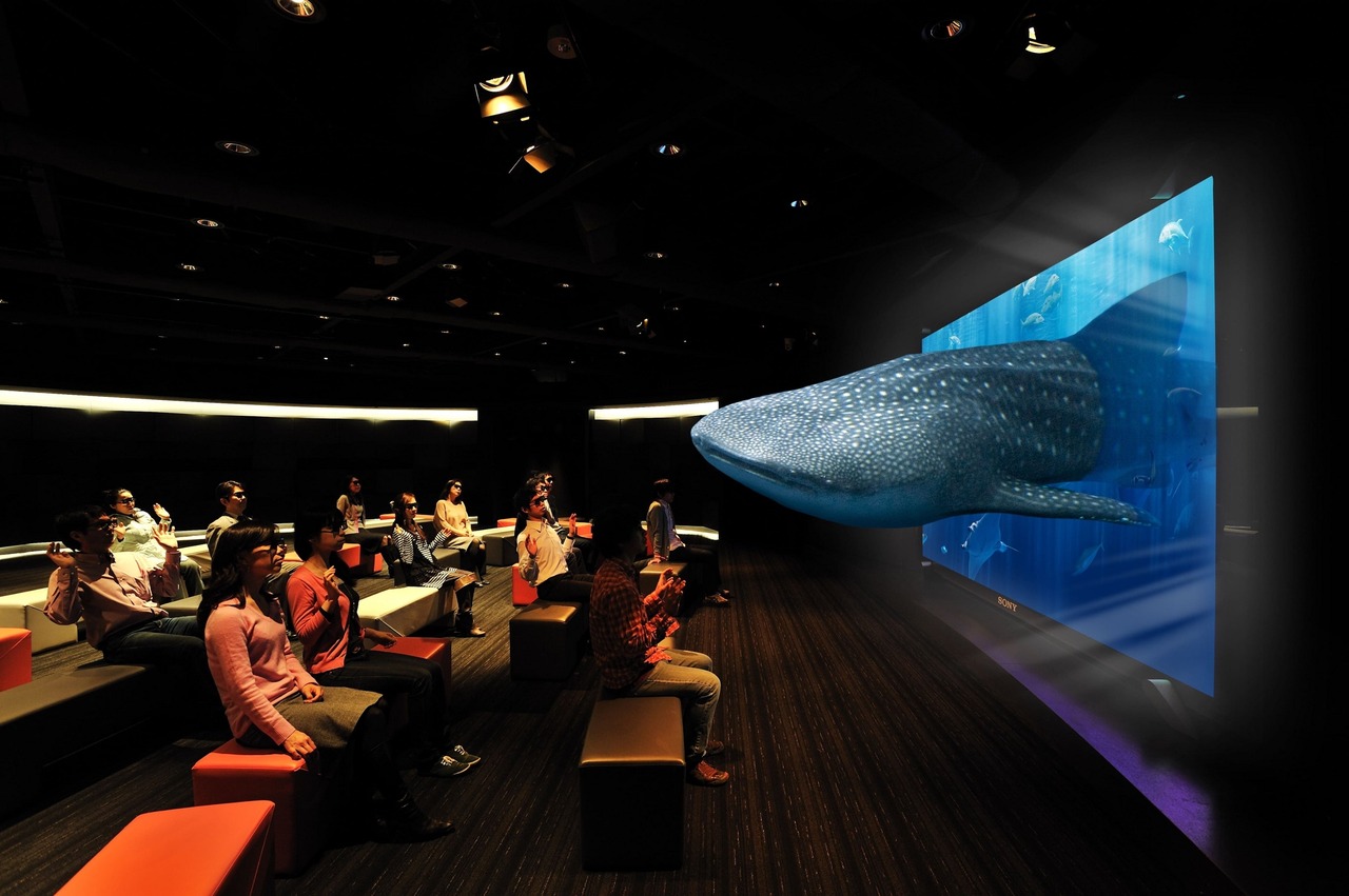 3D 冲绳美之海水族馆