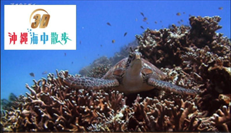 3D 冲绳海底漫步