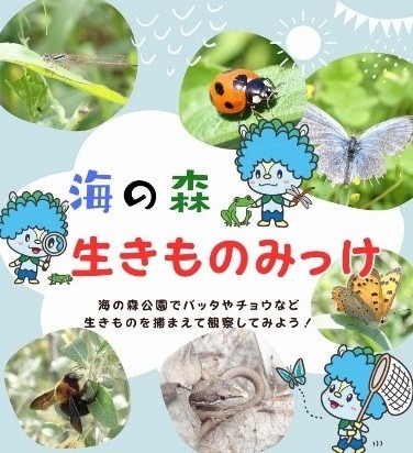 生物观察（海之森公园）