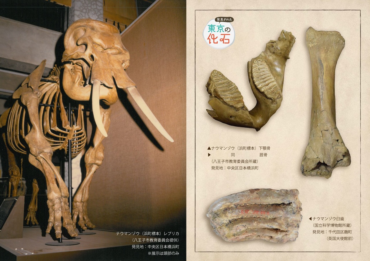 展览内容示意图