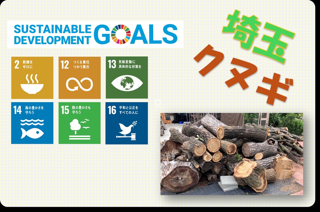 SDGs展板展示