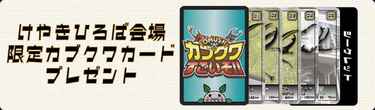 榉树广场会场限定原创甲虫卡