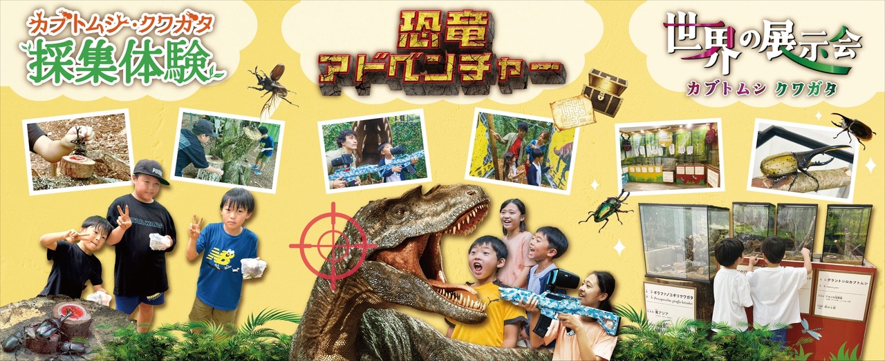 独角仙、锹甲虫活动等