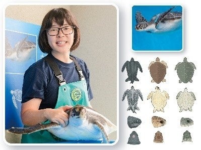 讲座：通过插图来学习！海洋生物的形态