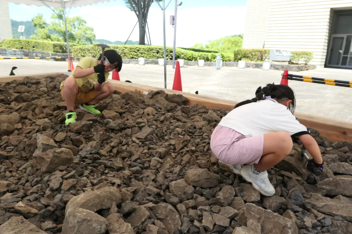 化石发掘体验活动现场