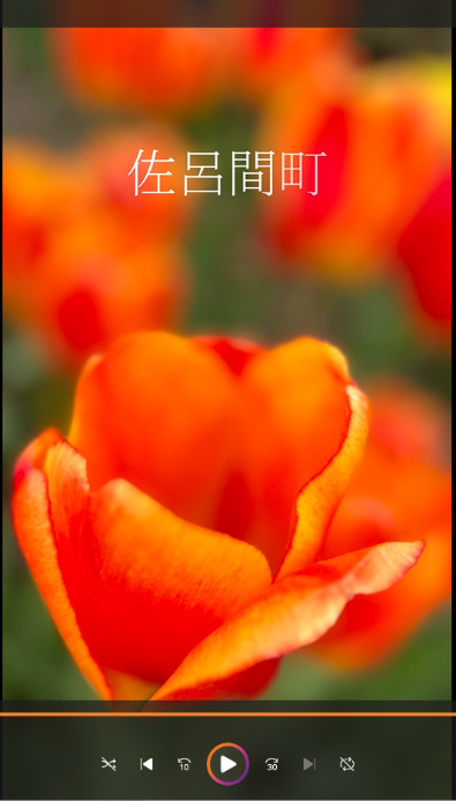 第二届最佳作品（视频作品的缩略图）
