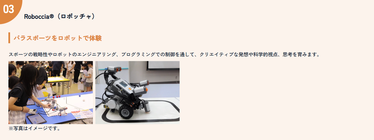 Roboccia体验