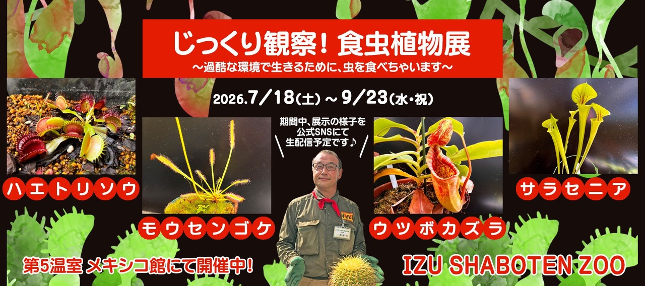 “仔细观察！食虫植物展”