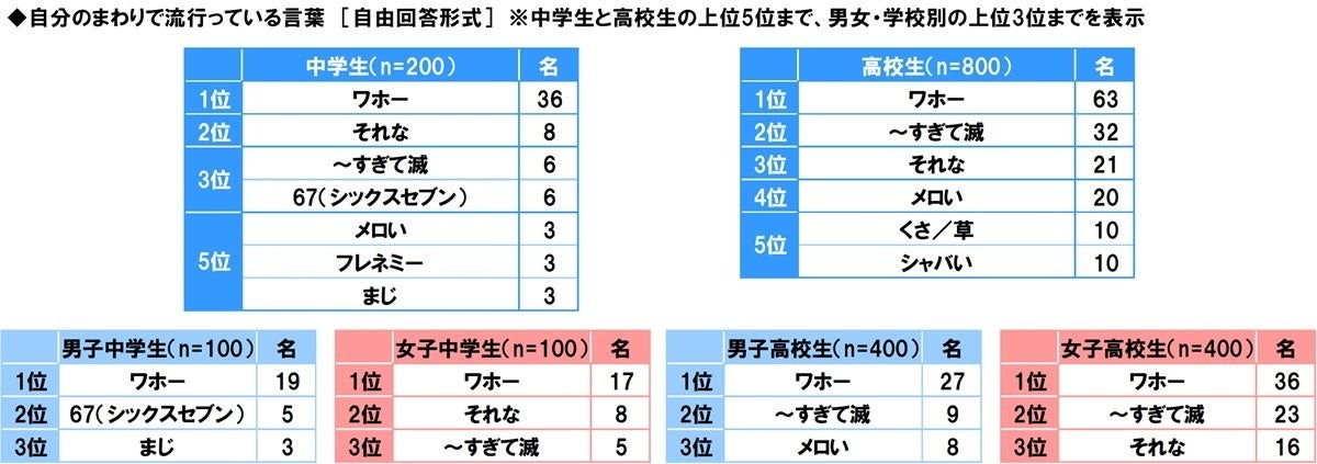 我身边流行的词语
