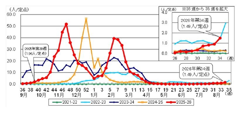 东京都内流感患者报告数（流感定点报告）过去5个流感季