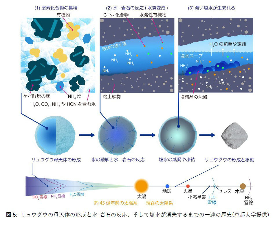 龙宫母天体的形成、水与岩石的反应，以及咸水消失之前的一系列历史（c）京都大学