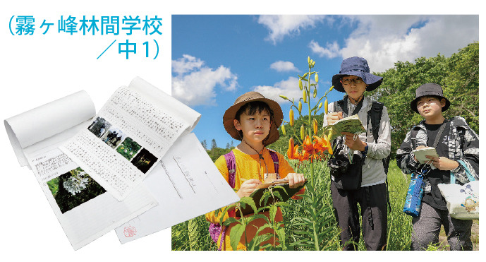 雾峰林间学校