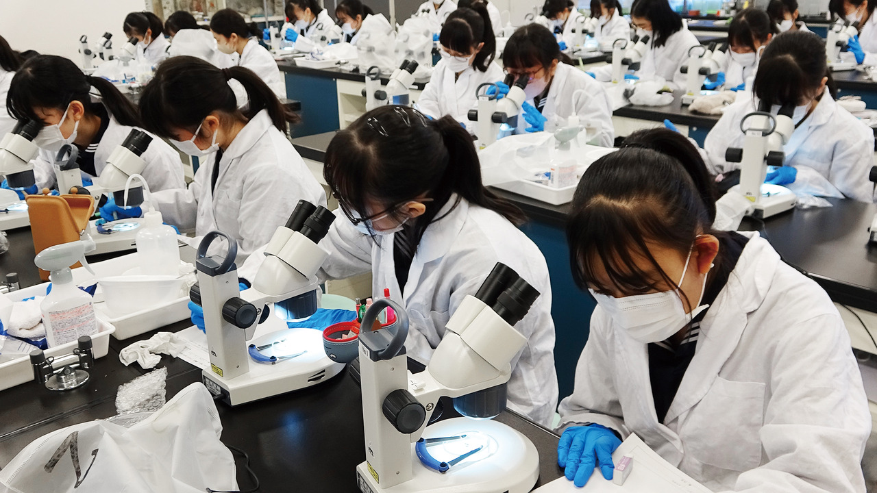 早在“理科女生”这一词汇出现之前，理科生比例一直较高，这也是其特点之一