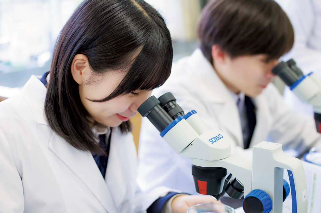 面向理科升学学生的项目
