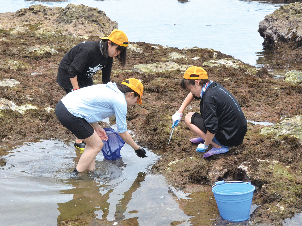 由东京海洋大学教授监修的“海洋实地考察”
