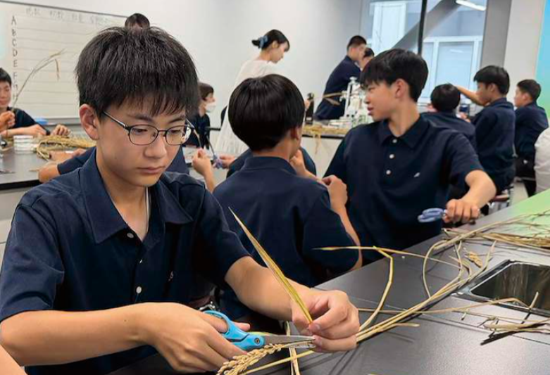 在东洋大学生命科学系研究室开展的稻田学习活动后的复习
