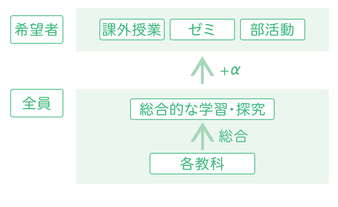 旨在培养个人卓越能力的项目流程