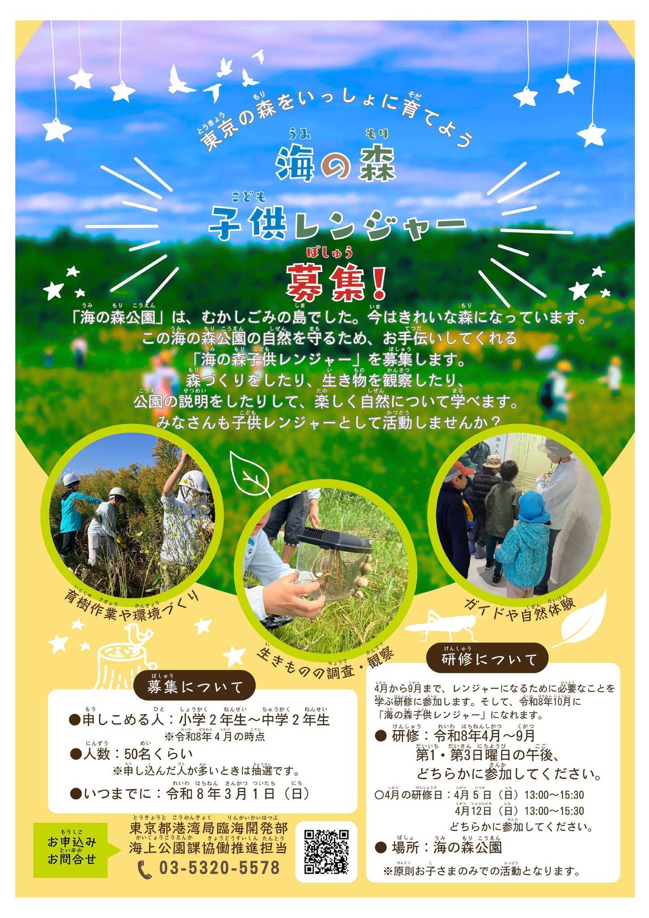 海洋森林儿童护林员招募传单