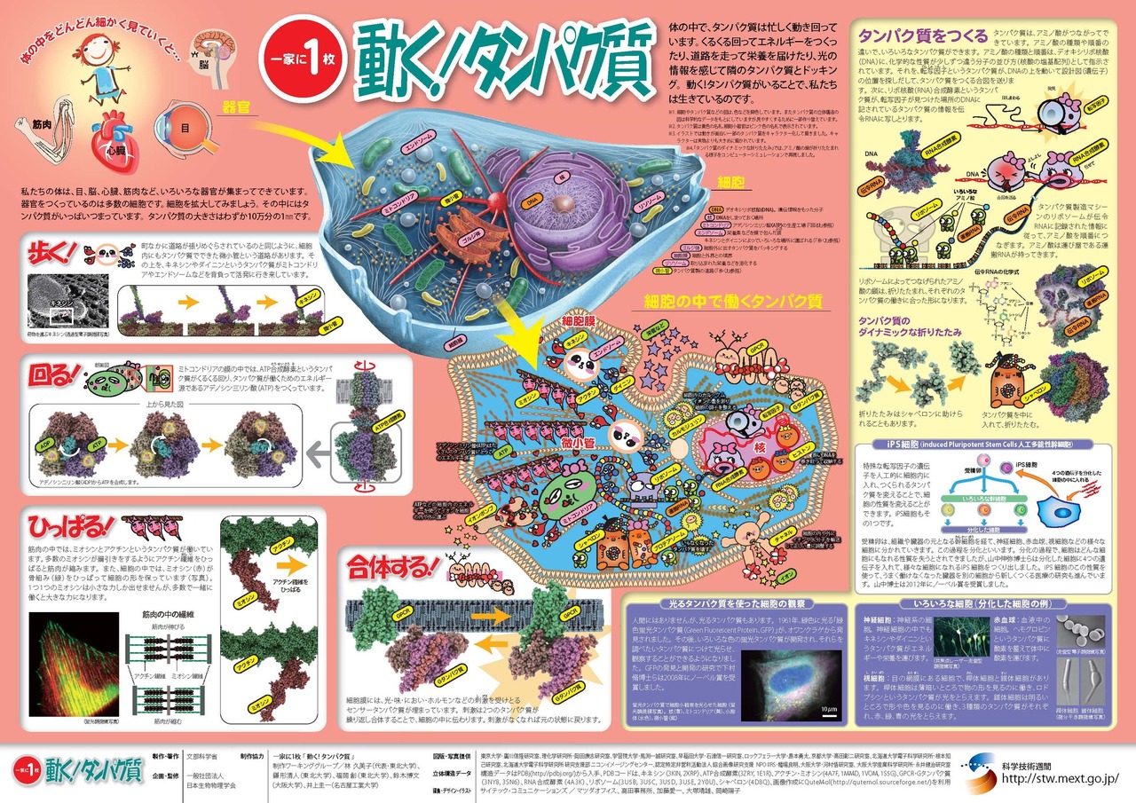 “每家必备　动起来！蛋白质”