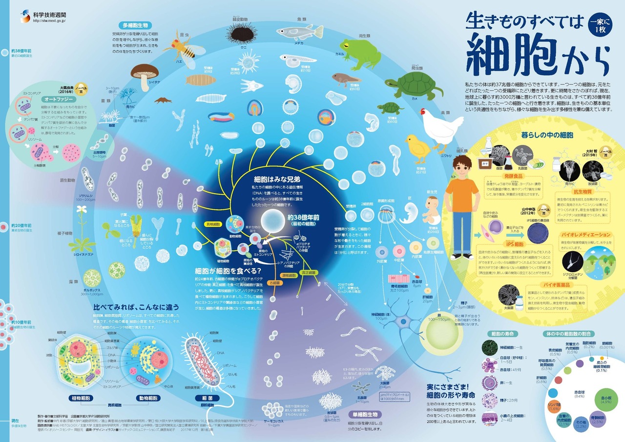“每家必备　万物皆由细胞构成”