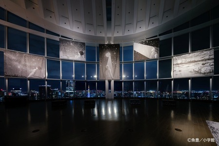 【2026年黄金周】漫画展“Chi.”在六本木新城举办至6月8日……还可体验制作望远镜 画像