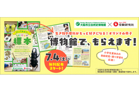 【2026年自由研究】免费发放植物、贝壳、昆虫标本制作手册……大阪市立自然史博物馆 画像