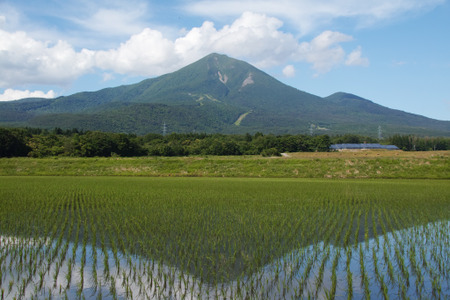 【2026年暑假】介绍磐梯町的教育环境及教育移民，7月26日在涩谷举办活动 画像
