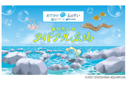 【2026年暑假】新江之岛水族馆进驻Terrasse Mall湘南，与海洋生物共度的16天 画像