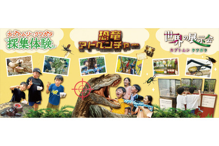 【2026年暑假】独角仙、锹甲虫采集体验等活动，三岛天空步道 画像