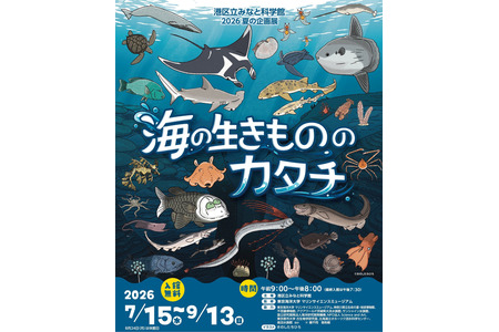 【2026年暑假】港湾科学馆“海洋生物的形态”特展将持续至9月13日……还有等比例大小的鳐鱼 画像