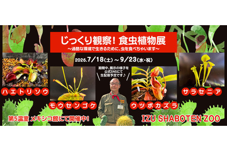 【2026年暑假】伊豆仙人掌动物公园“食虫植物展”7月至9月……也适合作为自由研究课题 画像