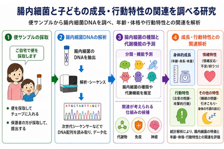 确认学龄前儿童肠道菌群与睡眠及情绪之间的关联……金泽工业大学、三重大 画像