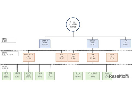 中学生和高中生足球运动中脑震荡的受伤机制与预防对策分析 画像